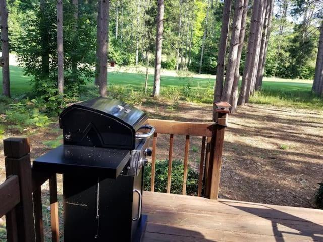 Crystal Mountain Cabin-Shuttle Pass Included! Thompsonville Exterior foto